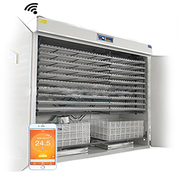 5280 Egg Incubator