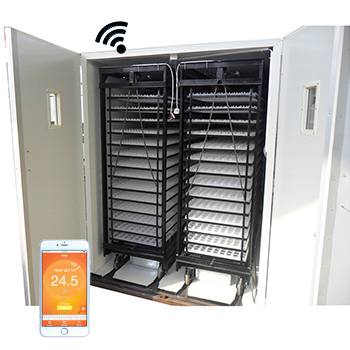 8448 Egg Incubator