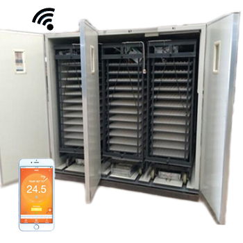 12672 Egg Incubator