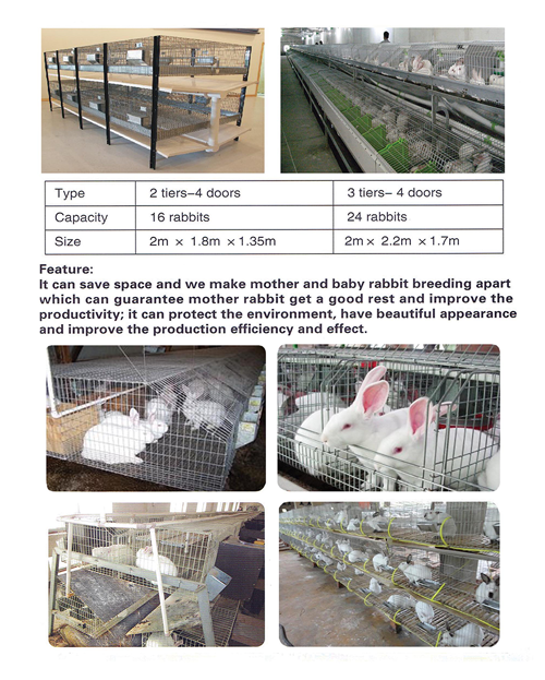 Rabbit Cages